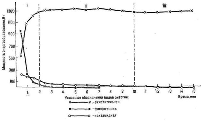 9490-14.jpg