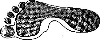 14066-37.jpg