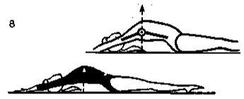 14066-54.jpg