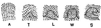 16418-6.jpg