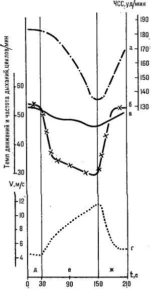 37489-19.jpg