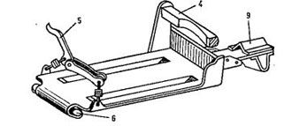37488-19.jpg