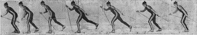 37487-11.jpg