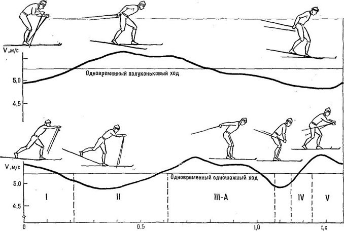 37487-7.jpg