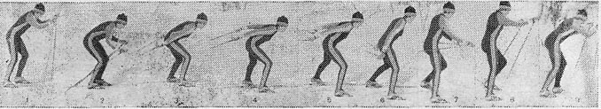 37487-9.jpg