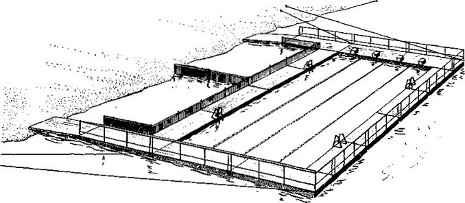 49846-11.jpg