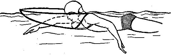 49847-30.jpg