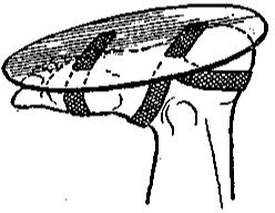 49847-38.jpg