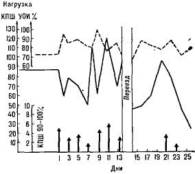 37497-10.jpg