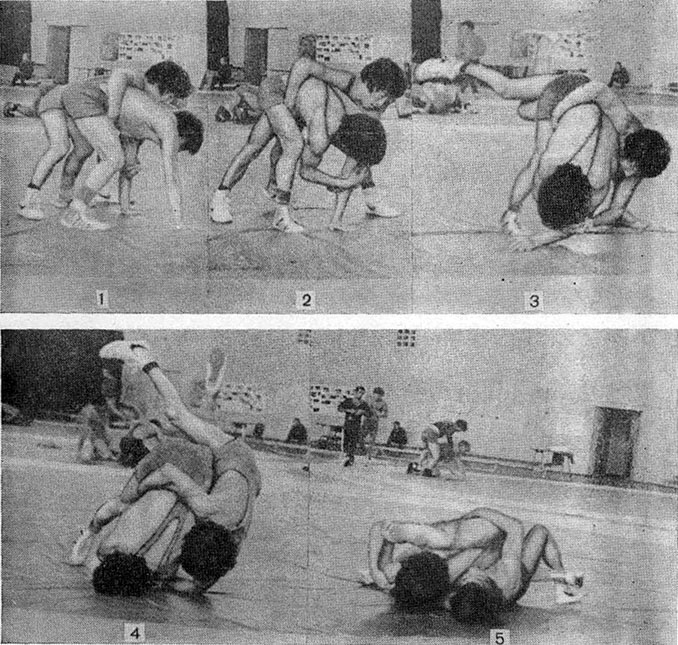 61975-24.jpg